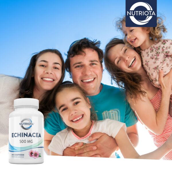 Echinacea naturale 500 mg | 240 compresse | Adatto ai vegani | Prodotto nel Regno Unito | Nutriota - Image 5